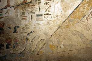 snakes in tomb